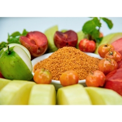 Muối sấy Ngọc Yến đặc sản Đồng Tháp chay mặn đều dùng được gói 20g, 100g, 250g