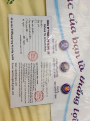 NỆM CAO SU NON THẮNG LỢI HÀNG CHÍNH HÃNG