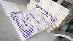 NỆM CAO SU NON GOLD LATEX THẮNG LỢI CHÍNH HÃNG