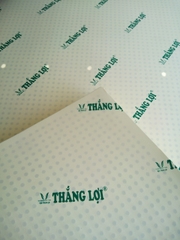 NỆM CAO SU NON THẮNG LỢI HÀNG CHÍNH HÃNG