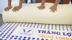 NỆM CAO SU NON GOLD LATEX THẮNG LỢI CHÍNH HÃNG