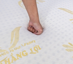 NỆM CAO SU NON GOLD LATEX THẮNG LỢI CHÍNH HÃNG