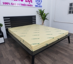 NỆM CAO SU NON THẮNG LỢI HÀNG CHÍNH HÃNG