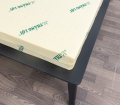 NỆM CAO SU NON THẮNG LỢI HÀNG CHÍNH HÃNG