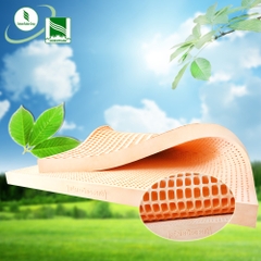 nệm cao su thiên nhiên ĐỒNG PHÚ