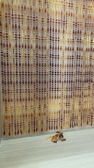 Mành nhựa pha lê