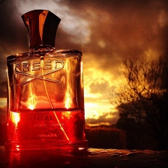 Creed Original Santal