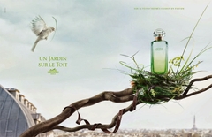 Hermes Un Jardin Sur Le Toit EDT