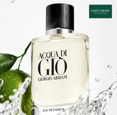 Giorgio Armani Acqua Di Giò Pour Homme EDP