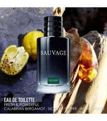 Dior Sauvage EDT