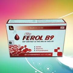 Thực Phẩm Bảo Vệ Sức Khỏe BIO FEROL B9