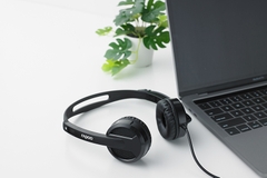 Tai nghe có dây Rapoo H100 chính hãng