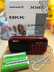 Loa nghe pháp BKK-858 3 pin xanh, nghe nhạc - nghe kinh - 2 khe gắn thẻ nhớ - fm chính hãng [BH 6 tháng]