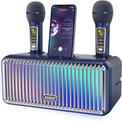 Loa bluetooth karaoke SDRD SD-319 PRO có đèn led, kèm 2 micro không dây chính hãng siêu hay [BH 6 tháng]