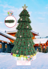 Cây thông khổng lồ 2 loại lá trang trí