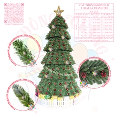 Cây thông khổng lồ 2 loại lá trang trí