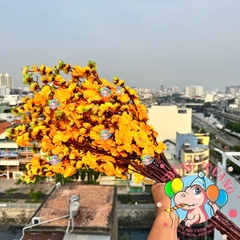 Cành mai, đào lớn