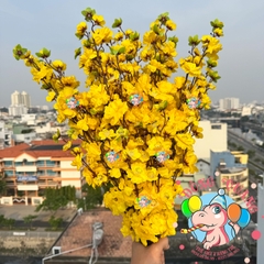 Cành mai, đào lớn