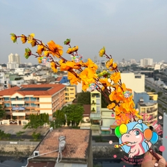 Cành mai, đào lớn