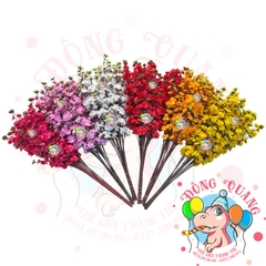 Cành mai, đào lớn