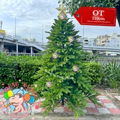 Cây thông 3 loại lá PE (cành tự động xoè)