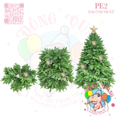 Cây thông PE (cành tự động xoè)