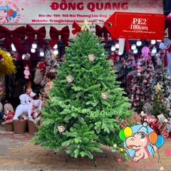 Cây thông PE (cành tự động xoè)