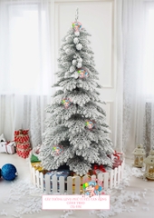 Cây thông Levo phủ tuyết tán rộng (cành treo)