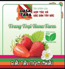 Dâu Tây Mộc Châu 500g