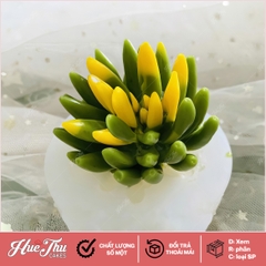 Khuôn silicon Sen Đá Tia Nhọn (số 2, số 5) làm bánh rau câu 3D 4D nhấn xôi, fondant, socola, nến hanmade