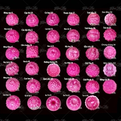 Khuôn rau câu, nhấn xôi Ngọc Lan (nhiều mẫu) dùng làm bánh rau câu trung thu, ép xôi