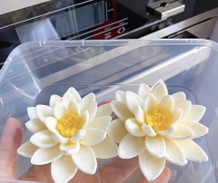 Khuôn silicon Hoa Súng làm bánh rau câu 3D 4D nhấn xôi, fondant, socola, nến hanmade