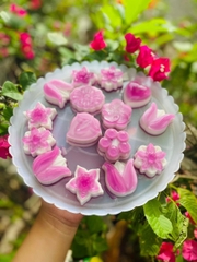 Khuôn rau câu, khay đá Hoa Tulip làm bánh rau câu 3D 4D nhấn xôi, fondant, socola, nến hanmade