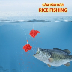 Mồi câu cá tôm tươi Rice Fishing MT-1