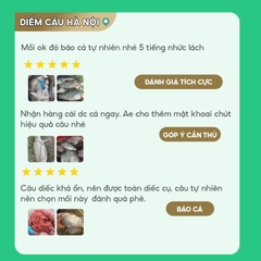 Mồi câu cá Toàn Năng MT-16 Rice Fishing 200g