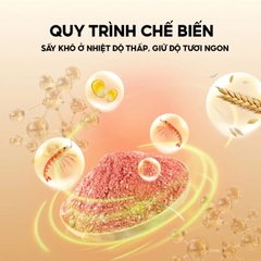 Mồi câu cá Toàn Năng MT-16 Rice Fishing 200g