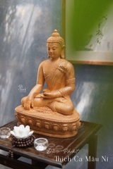 Phật Thích Ca Đại Thừa