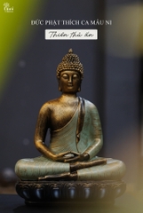 Đức Phật Thích Ca Mâu Ni Thiền Thủ Ấn