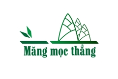 Dự án Măng Mọc Thẳng là gì?