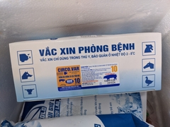 Circo vac 10 liều Vắc xin phòng bệnh còi cọc viêm da phức hợp trên heo