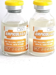 AMPICOLI LA dung dịch tiêm đặc trị e.coli, viêm phổi, viêm vú, viêm tử cung