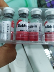 RABISIN 1 liều Vaccine phòng bệnh dại chó mèo