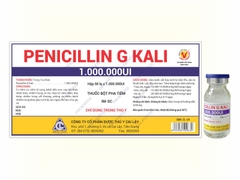 PENICILIN G KALI 1G 10ML Thuốc bột pha tiêm trị viêm vú viêm tử cung và các bệnh truyền nhiễm khác ở gia súc gia cầm