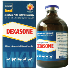 DEXASONE Thuốc dung dịch tiêm chống viêm mạnh