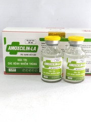 AMOXCILIN LA hỗn dịch tiêm đặc trị các bệnh nhiễm trùng