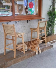 Ghế Bar Cafe Gỗ Đan Dây - GDD14