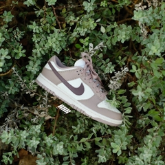 NIKE DUNK LOW DIFFUSED TAUPED ( DD1503-125)