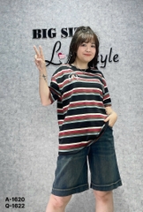 1620 A.Sọc màu ĐẬM G- 00297