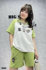 1680 Ss.polo Meo- 00450