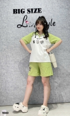 1680 Ss.polo Meo- 00450